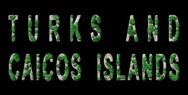 Türkler ve Caicos Adaları Ormanlaştırma ve İklim Mesajı, Sürdürülebilir Yeşil Tipografi, Yeşil Gündem