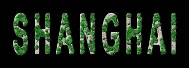 Şangay Ormancılık ve Biyofilya, Şangay Yeşil Tipografi