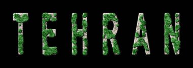 Tahran Yeniden Ormanlanma ve Biyofili, Tahran Yeşil Tipografisi