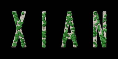 Xian Ormanı ve Biyofili, Xian Yeşil Tipografisi