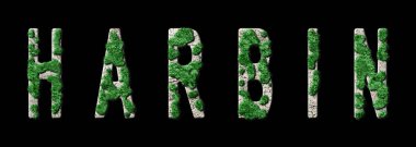 Harbin Ormanlama ve Biyofili, Harbin Yeşil Tipografi