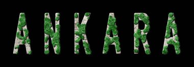 Ankara Ormancılık ve Biyofilya, Ankara Yeşil Tipografi