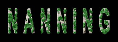 Nanning Ormanlaşması ve Biyofili, Nanning Yeşil Tipografisi