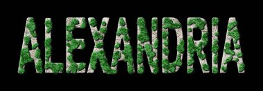 İskenderiye Yeniden Ormanlama ve Biyofilya, İskenderiye Yeşil Tipografisi