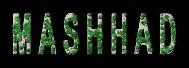 Mashhad Ormanlaşması ve Biyofili, Mashhad Yeşil Tipografisi