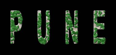 Pune Ormanı ve Biyofili, Pune Yeşil Tipografisi