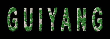 Guiyang Ormancılık ve Biyofilya, Guiyang Yeşil Tipografi