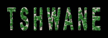 Tshwane Ormanını Yenileme ve Biyofili, Tshwane Yeşil Tipografisi