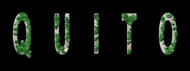 Quito Ormancılık ve Biyofili, Quito Yeşil Tipografi