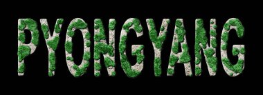 Pyongyang Ormancılık ve Biyofilya, Pyongyang Yeşil Tipografisi