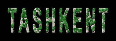 Taşkent Ormancılık ve Biyofilya, Taşkent Yeşil Tipografi