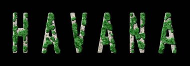 Havana Yeniden Ormanlanma ve Biyofili, Havana Yeşil Tipografi