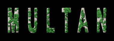 Çoklu Orman Yenileme ve Biyofili, Çoklu Yeşil Tipografi