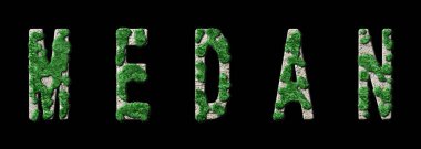 Medan Ormanlaşması ve Biyofili, Medan Yeşil Tipografi