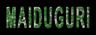 Maiduguri Ormanını Yenileme ve Biyofili, Maiduguri Yeşil Tipografisi