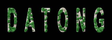 Datong Ormanını Yenileme ve Biyofili, Datong Yeşil Tipografi