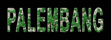 Palembang Yeniden Ormanlama ve Biyofili, Palembang Yeşil Tipografi