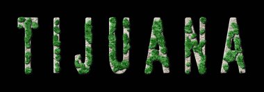 Tijuana Yeniden Ormanlama ve Biyofili, Tijuana Yeşil Tipografi