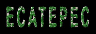 Ecatepec Reforestation and Biophilia, Ecatepec Green Typography