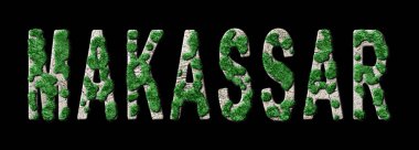Makassar Yeniden Orman ve Biyofili, Makassar Yeşil Tipografi
