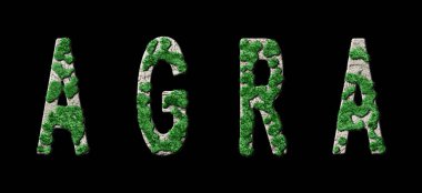 Agra Ormanlaşması ve Biyofili, Agra Yeşil Tipografi