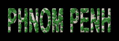 Phnom Penh Ormanını Yenileme ve Biyofili, Phnom Penh Yeşil Tipografi