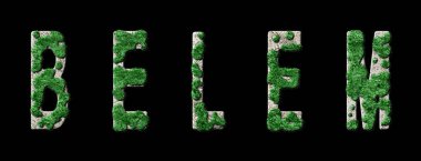 Belem Ormanı ve Biyofili, Belem Yeşil Tipografi