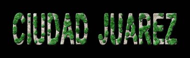 Ciudad Juarez Ormancılık ve Biyofili, Ciudad Juarez Yeşil Tipografi