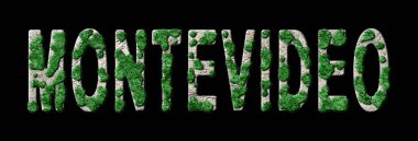 Montevideo Ormanını Yenileme ve Biyofili, Montevideo Yeşil Tipografisi