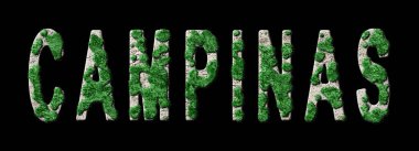 Campinas Ormanı ve Biyofili, Campinas Yeşil Tipografisi
