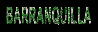 Barranquilla Ormanını Yenileme ve Biyofili, Barranquilla Yeşil Typography