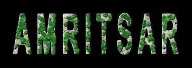 Amritsar Ormancılık ve Biyofili, Amritsar Yeşil Tipografi