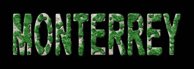 Monterrey Ormanları ve Biyofili, Monterrey Yeşil Tipografisi