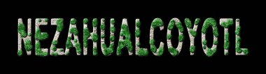 Nezahualualcoyotl Yeniden ağaçlandırma ve biyofili, Nezahualualcoyotl Green Typography