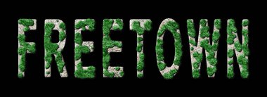 Freetown Ormanlaşması ve Biyofili, Freetown Yeşil Tipografisi