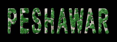 Peşaver Ormanını Yenileme ve Biyofili, Peşaver Yeşil Tipografisi