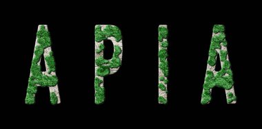 Apia Ormanını Yenileme ve Biyofili, Apia Green Typography