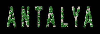 Antalya Ormanını Yenileme ve Biyofili, Antalya Yeşil Tipografisi