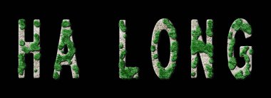 Ha Long Ormancılık ve Biyofili, Ha Long Green Tipografisi