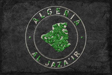 Cezayir 'in Yeniden Ormanlanma Haritası Yeşil Gündem, İklim Mesajı