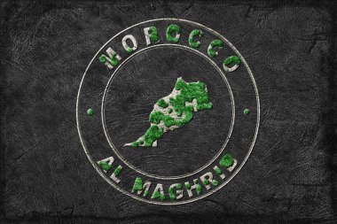 Fas Ormanlarını Yenileme Haritası Yeşil Gündem, İklim Mesajı