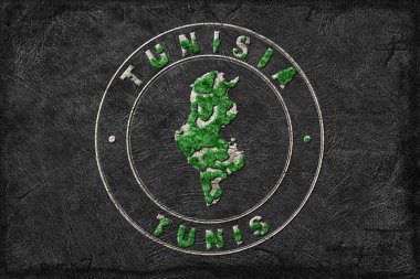 Tunus 'un Yeniden Ormanlanma Haritası Yeşil Gündem, İklim Mesajı