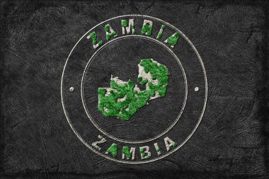 Zambiya Ormanlarını Yenileme Haritası Yeşil Gündem, İklim Mesajı