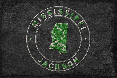 Mississippi Ormanlarının Yeniden Ormanlanma Haritası Yeşil Gündem, İklim Mesajı