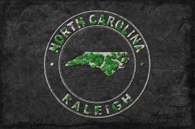 Kuzey Carolina Orman Yeniden Ormanlama Yeşil Gündem Haritası, İklim Mesajı