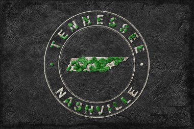 Tennessee Ormanının Yeniden Ormanlanma Haritası Yeşil Gündem, İklim Mesajı