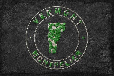 Vermont Yeniden Ormanlanma Haritası Yeşil Gündem, İklim Mesajı