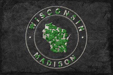 Wisconsin Ormanının Yeniden Ormanlanma Haritası Yeşil Gündem, İklim Mesajı