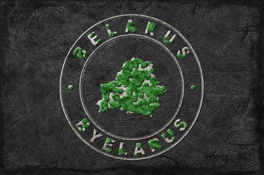 Belarus Yeniden Ormanlandırma Yeşil Gündem Haritası, İklim Mesajı