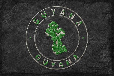 Guyana Yeniden Ormanlama Yeşil Gündem Haritası, İklim Mesajı